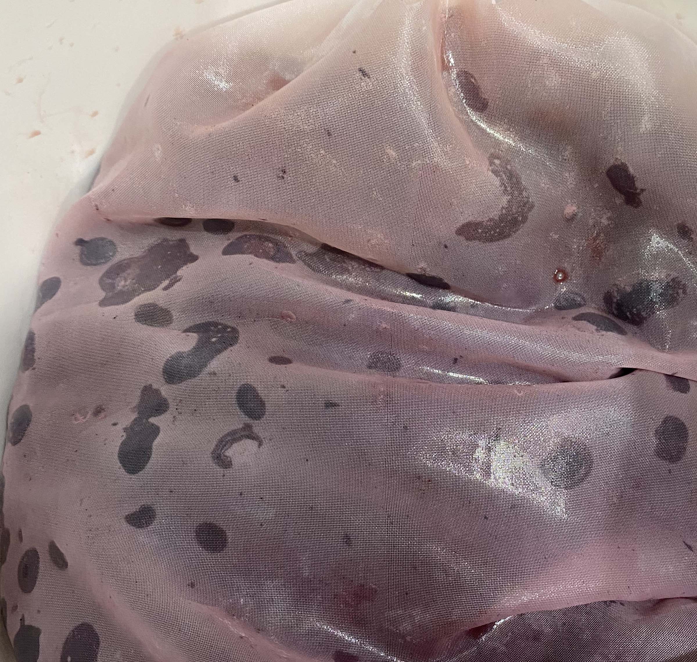 blueberries and sweet dark cherries in bag, uncrushed